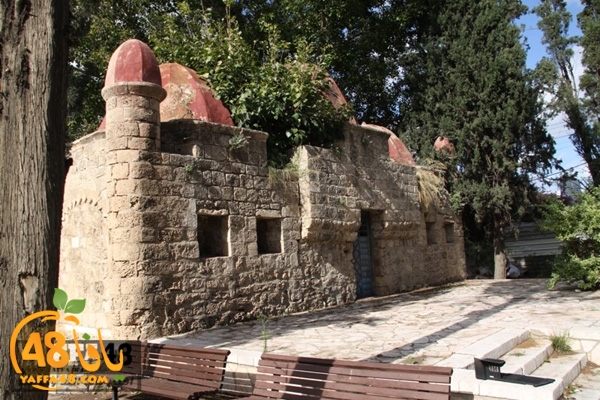 abonabot (8).jpg.jpg